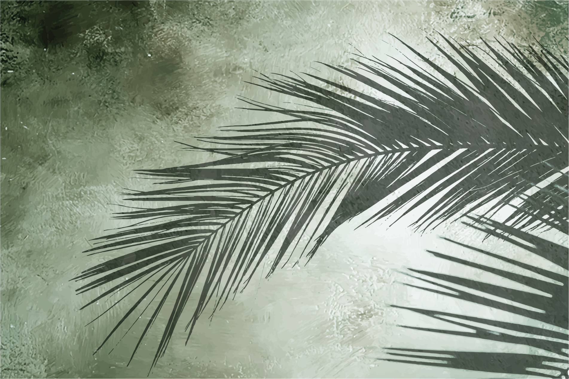 Tapete vinílico flores e plantas elegância das palmeiras - TenStickers