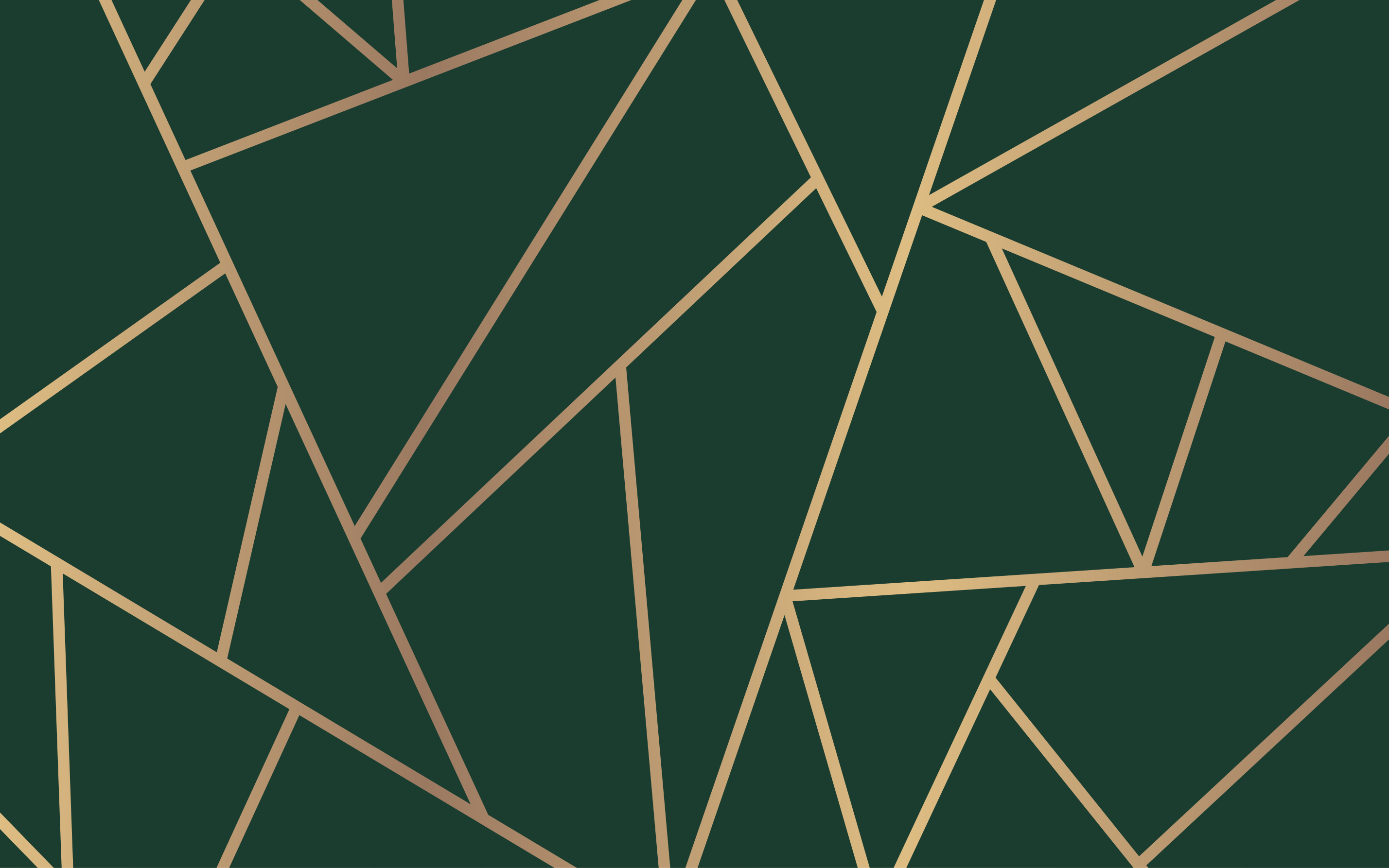 Linhas douradas garrafa fundo verde tapete moderno - TenStickers