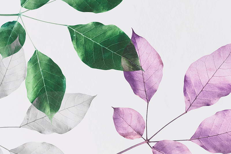 Tapete vinílico flores e plantas estampas botânicas - TenStickers