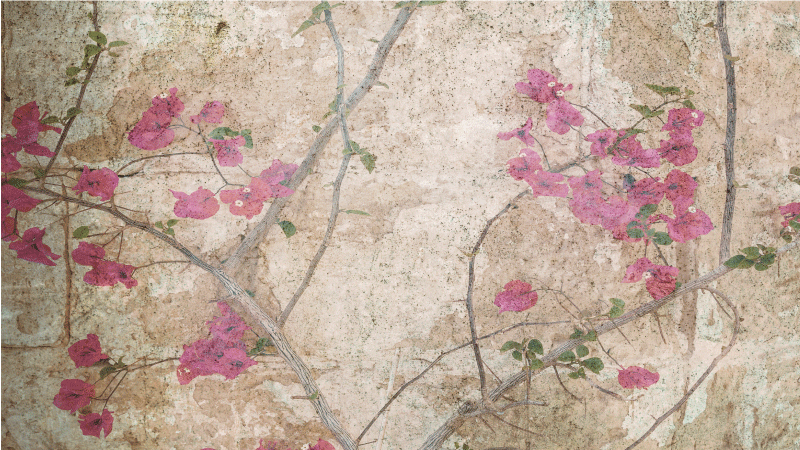 Tapete vinílico flores e plantas sobre galhos floridos - TenStickers