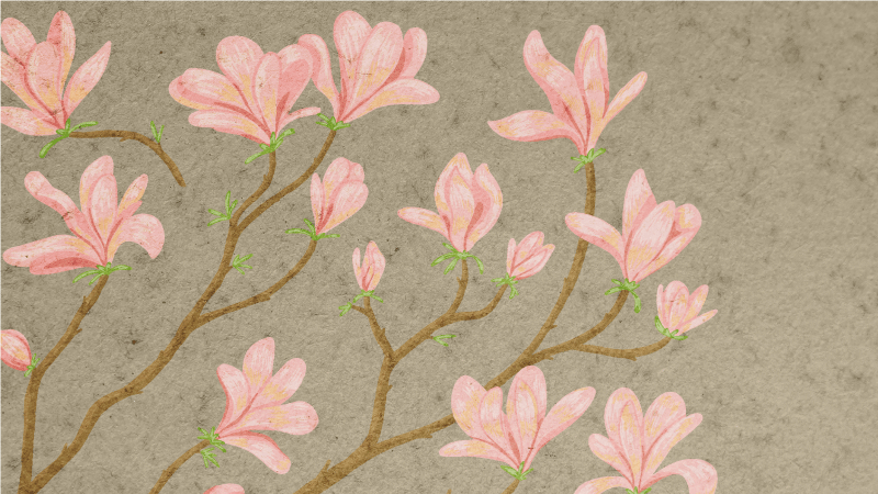 Tapete vinílico flores e plantas exposição floral - TenStickers