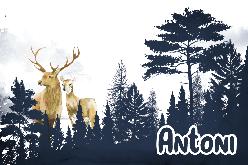 Tapete vinílico com nome silhueta da fauna florestal - TenStickers