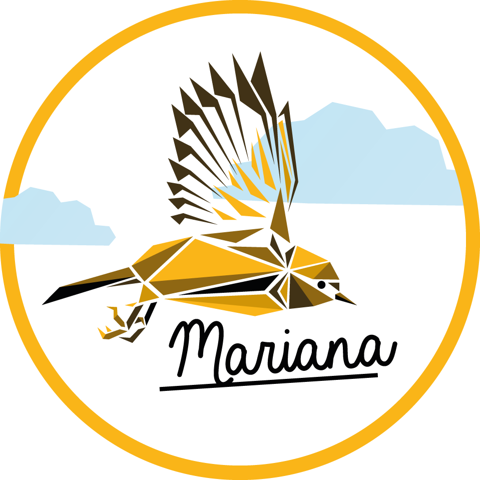 Tapete vinílico com nome pássaro personalizado - TenStickers