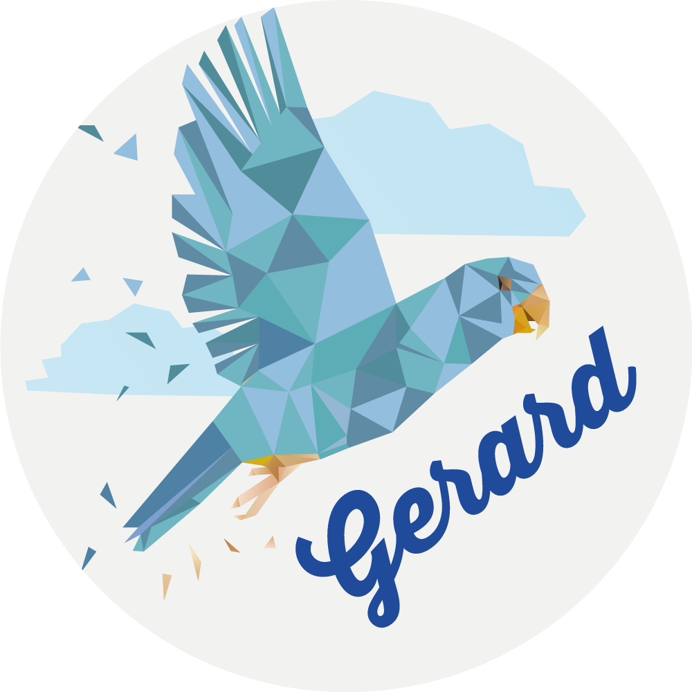 Tapete vinílico com nome águia geométrica personalizada - TenStickers