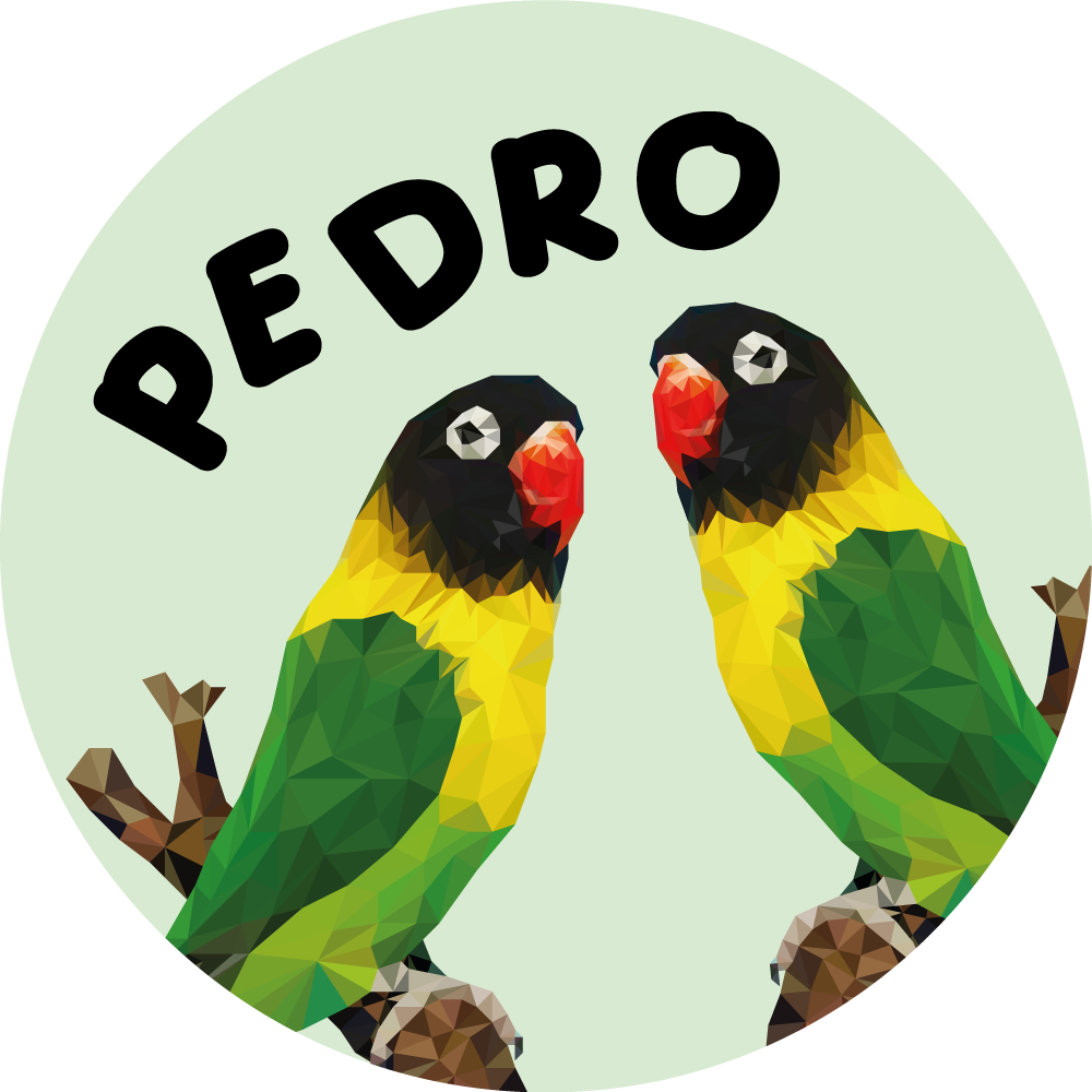 Tapete vinílico com nome pombinhos personalizáveis - TenStickers