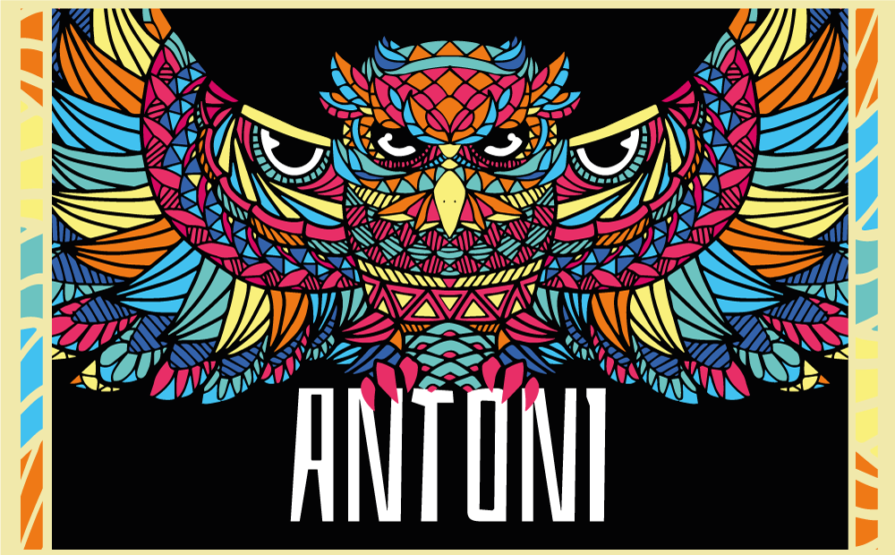 Tapete vinílico com nome personalização de coruja colorida - TenStickers