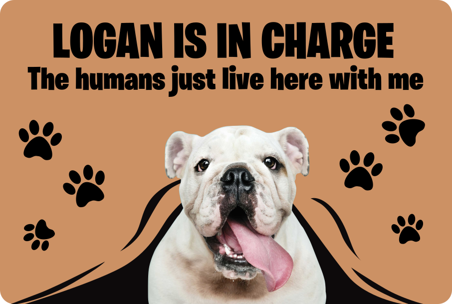 Tapete foto personalizada de animal estimação - TenStickers