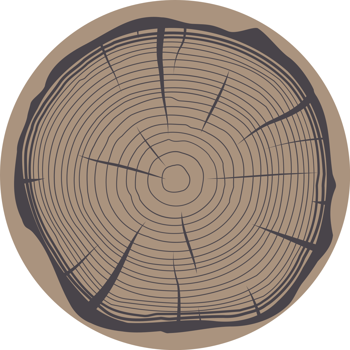 Tronco de árvore natureza tapete de vinil - TenStickers