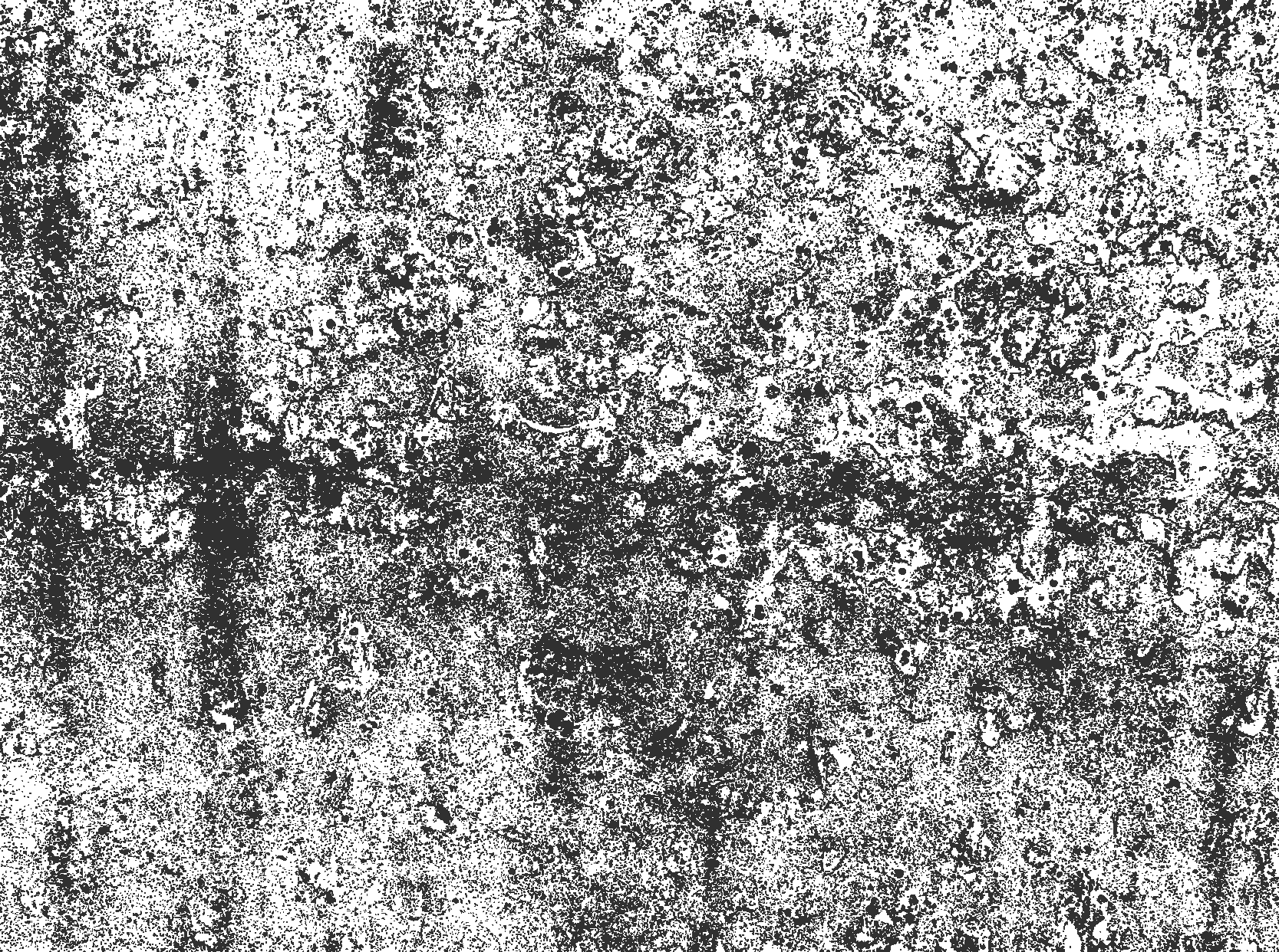 Tapete vinílico para sala de jantar cinza desbotado - TenStickers