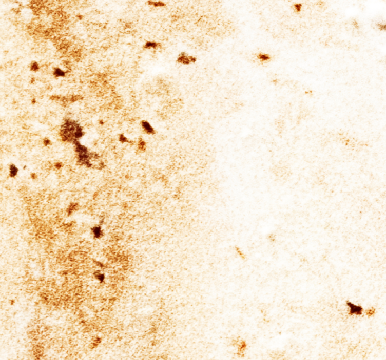 papel de parede mármore Textura macia de mármore - TenStickers