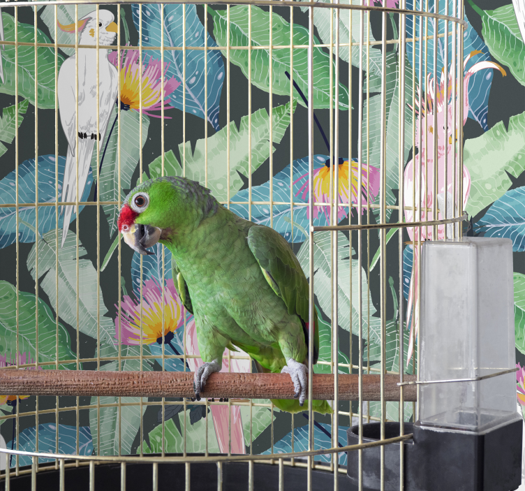 Papel de parede pássaros tropicais e folhas - TenStickers