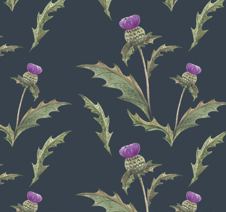 papel de parede flores cardo Escocês - TenStickers