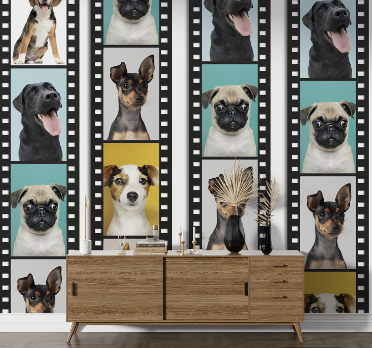 Papel de parede cães película de filme canino - TenStickers