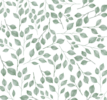 papel parede natureza Ramos de oliveira - TenStickers