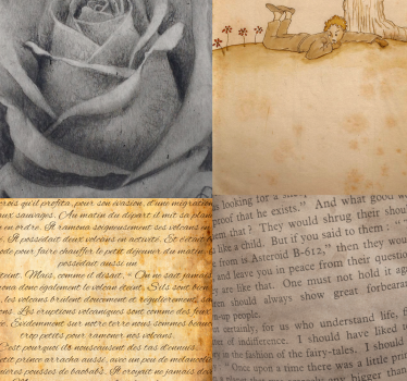 papel de parede com escritas Páginas de “O principezinho " - TenStickers