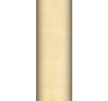 papel parede vertical Decoração de veludo bege de imitação - TenStickers