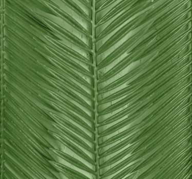 papel parede moderno riscas tropicais modernas - TenStickers